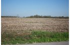 Property photo 6 - 641 Acres Offered in 16 Tracts - 545 Cropland Acres